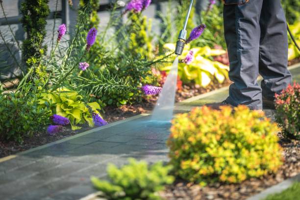 Best Spring Cleaning  in Riverside, MD